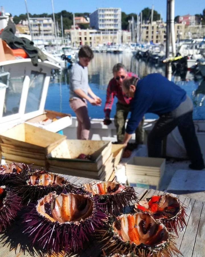 200M De La Plage ,3Mn Du Port A 50M Du Centre Ville Carry-le-Rouet ภายนอก รูปภาพ